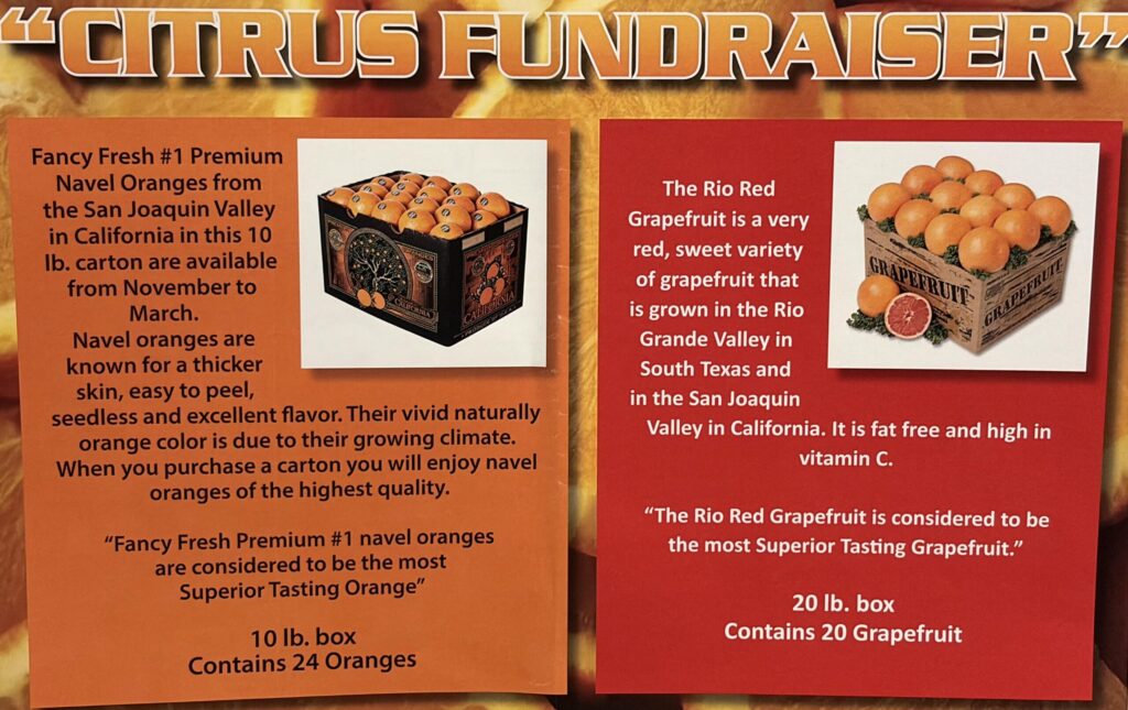 fruit poster